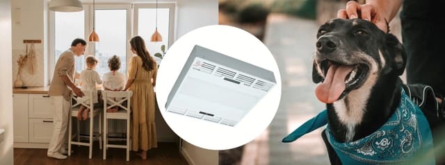 Is UV-C Light Safe for Pets and People? What You Need to Know