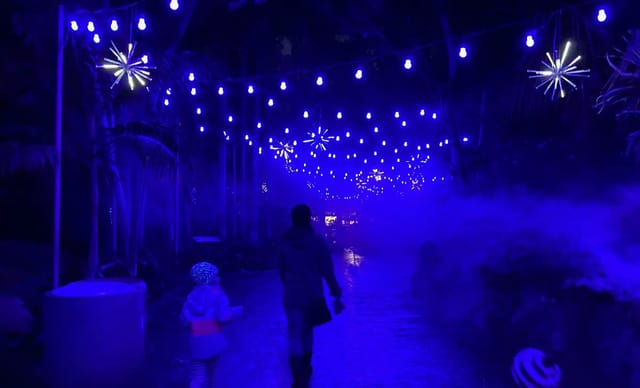 How Are LEDs Changing The Holiday Season?