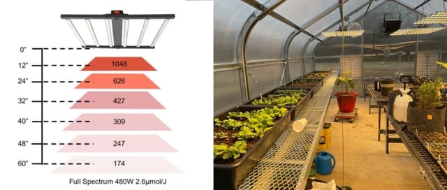 Understanding LED Grow Lights: Power Needs, Set Up and Spacing