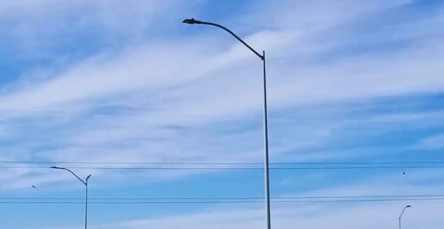 LED Lights with Photocell for Summer Days 