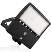 150W NextGen IV Series - LED Flood Light | 22,500 Lumen, 5000K, Flood Mount, Black