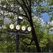 Wood Pole Light Bracket - Four Light Version  - Brown Housing 