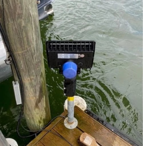 LED flood light installed near water feature demonstrating weather-resistant design