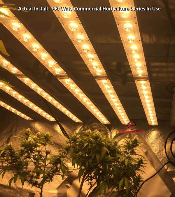 LED Grow Lights