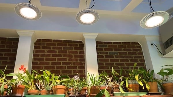 Energy efficient LED grow lights compared to HID and fluorescent alternatives