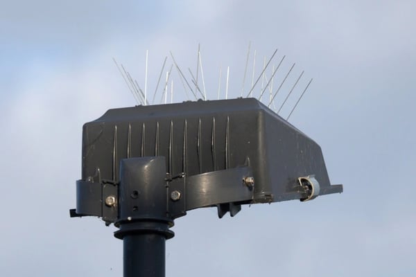 Bird Spikes for LED Lights