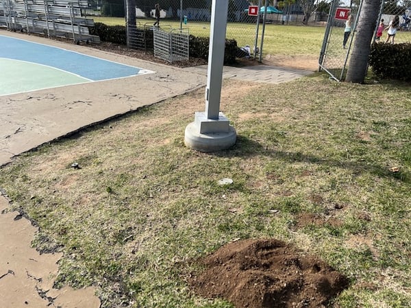 Concrete foundation and anchor bolts for a surface mount light pole