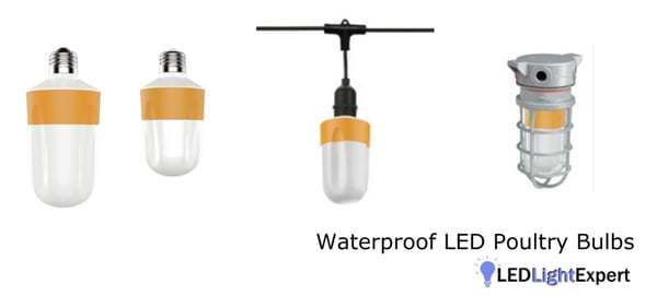 Waterproof LED poultry bulbs for farm lighting