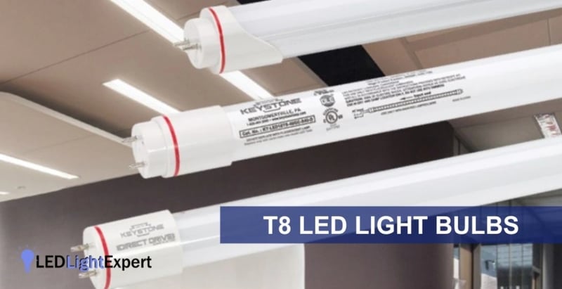 T8 Light Bulbs