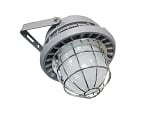 150 Watt LED Hazardous Location light - Hanging Design - Class I Div II approved - 21,000 Lumens - 5000K 