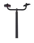 Sport Court Light Package | 20 Foot Pole with Bullhorn + 2 of the 300 Watt Sport Lights, Bronze