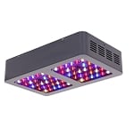 132 Watt LED Grow Light - Full Spectrum Wavelength - Fruits, Vegetables, Cannabis