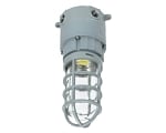 30 Watt - Class I Div II Approved - Explosion Proof - LED Jelly Jar light - C1D2 - Hanging Design - 3,000 Lumens - Color Selectable - 3000K-6500K 